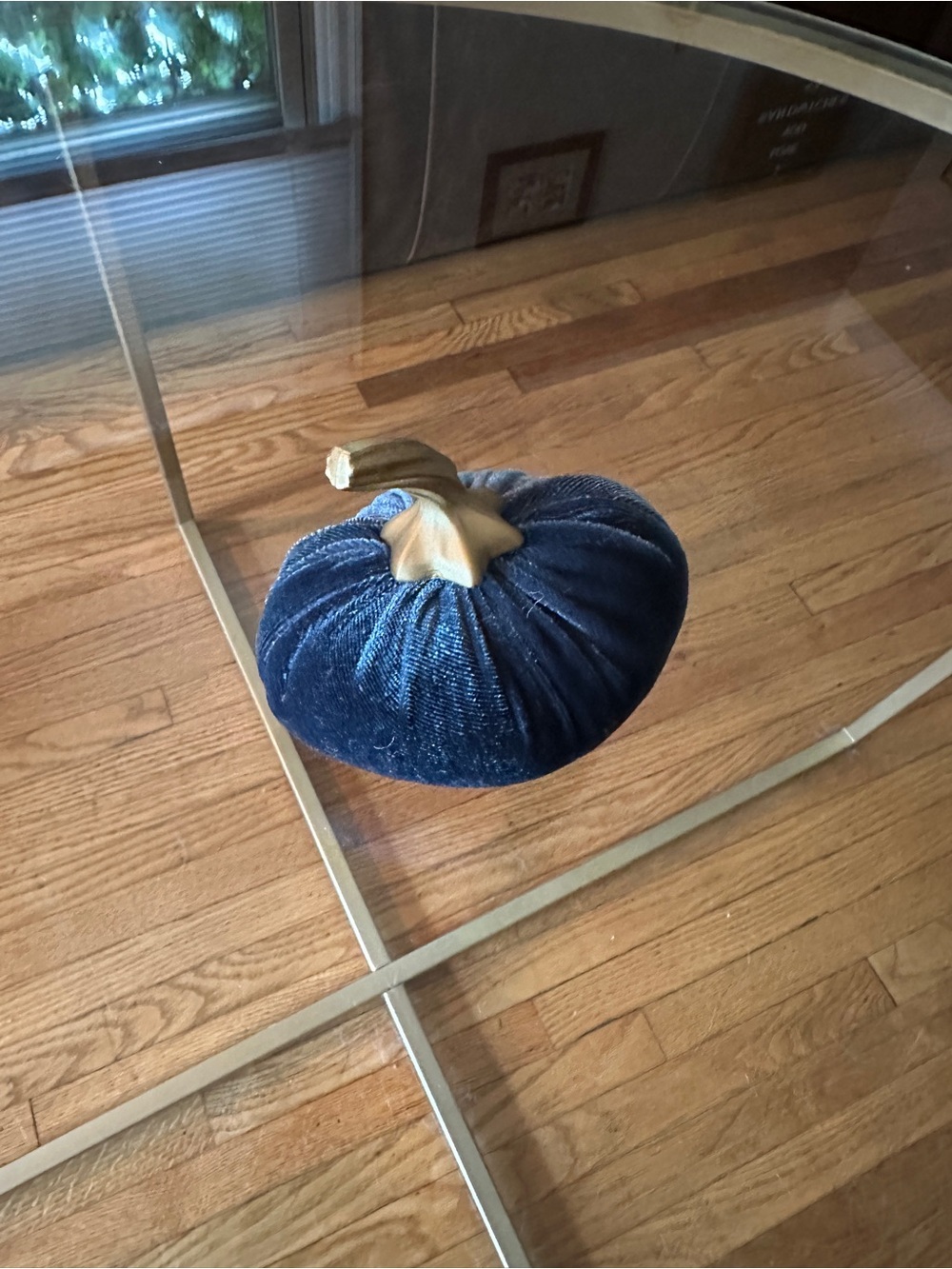 Plush Navy Velvet Pumpkin with Gold Stem